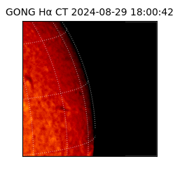 gong - 2024-08-29T18:00:42