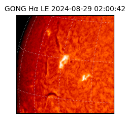 gong - 2024-08-29T02:00:42