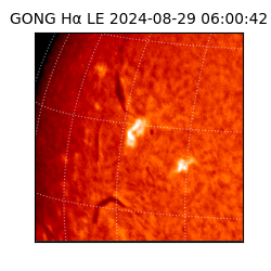 gong - 2024-08-29T06:00:42