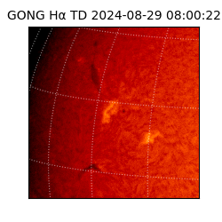 gong - 2024-08-29T08:00:22