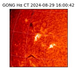 gong - 2024-08-29T16:00:42