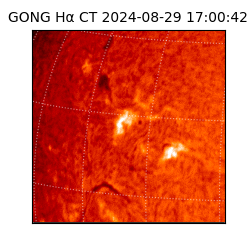 gong - 2024-08-29T17:00:42