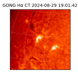 gong - 2024-08-29T19:01:42