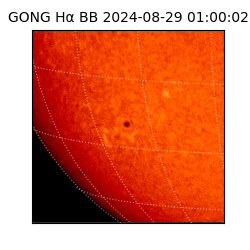 gong - 2024-08-29T01:00:02