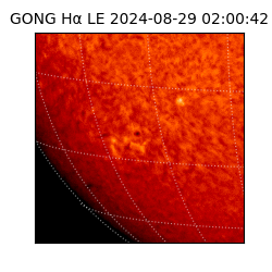 gong - 2024-08-29T02:00:42
