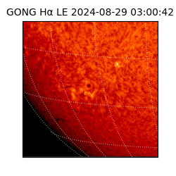 gong - 2024-08-29T03:00:42
