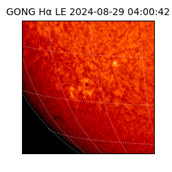 gong - 2024-08-29T04:00:42