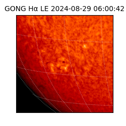 gong - 2024-08-29T06:00:42