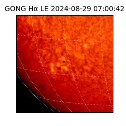 gong - 2024-08-29T07:00:42