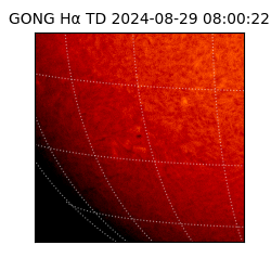 gong - 2024-08-29T08:00:22