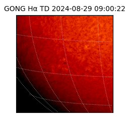 gong - 2024-08-29T09:00:22