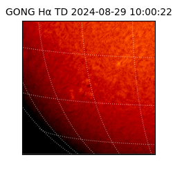 gong - 2024-08-29T10:00:22