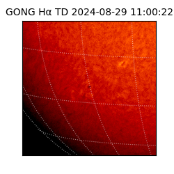 gong - 2024-08-29T11:00:22