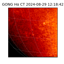 gong - 2024-08-29T12:18:42