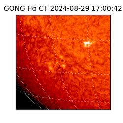 gong - 2024-08-29T17:00:42