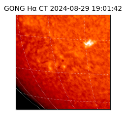 gong - 2024-08-29T19:01:42