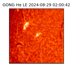 gong - 2024-08-29T02:00:42