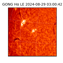 gong - 2024-08-29T03:00:42