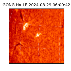 gong - 2024-08-29T06:00:42