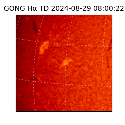 gong - 2024-08-29T08:00:22