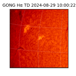 gong - 2024-08-29T10:00:22