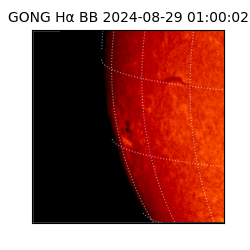 gong - 2024-08-29T01:00:02