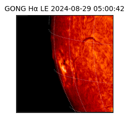 gong - 2024-08-29T05:00:42