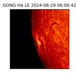 gong - 2024-08-29T06:00:42