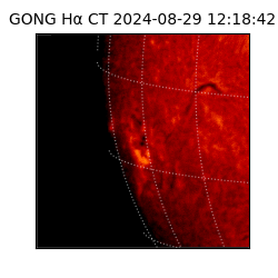 gong - 2024-08-29T12:18:42