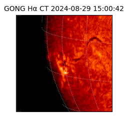 gong - 2024-08-29T15:00:42