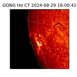 gong - 2024-08-29T16:00:42