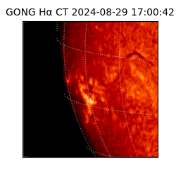 gong - 2024-08-29T17:00:42