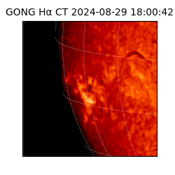 gong - 2024-08-29T18:00:42