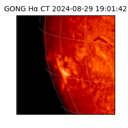 gong - 2024-08-29T19:01:42