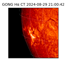 gong - 2024-08-29T21:00:42