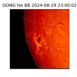 gong - 2024-08-29T23:00:02