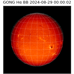 gong - 2024-08-29T00:00:02