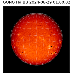 gong - 2024-08-29T01:00:02