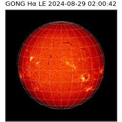 gong - 2024-08-29T02:00:42
