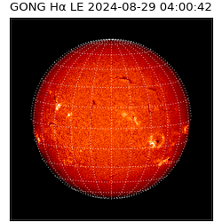 gong - 2024-08-29T04:00:42