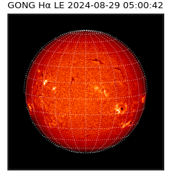 gong - 2024-08-29T05:00:42