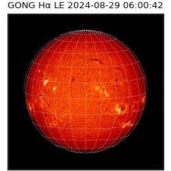 gong - 2024-08-29T06:00:42