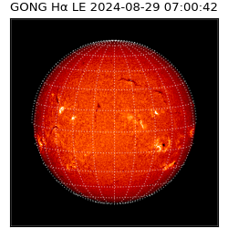 gong - 2024-08-29T07:00:42