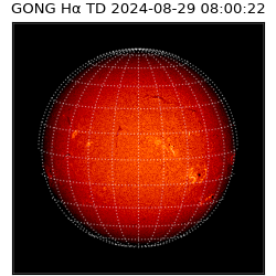 gong - 2024-08-29T08:00:22