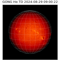 gong - 2024-08-29T09:00:22