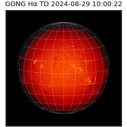 gong - 2024-08-29T10:00:22