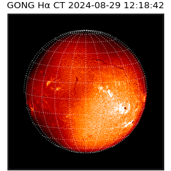 gong - 2024-08-29T12:18:42