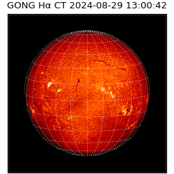 gong - 2024-08-29T13:00:42