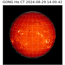 gong - 2024-08-29T14:00:42