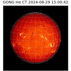 gong - 2024-08-29T15:00:42